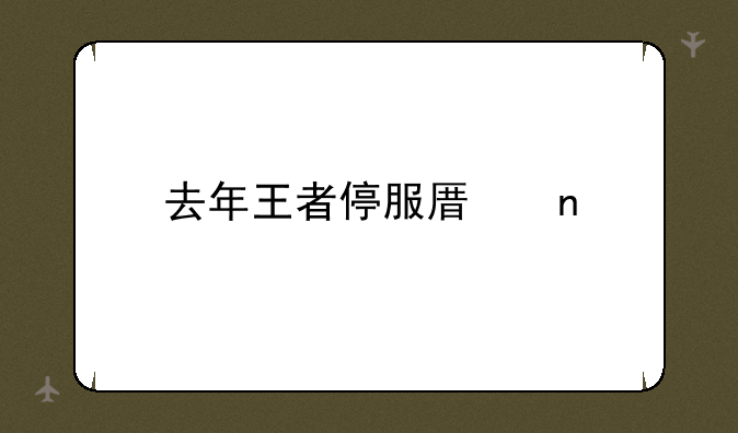 去年王者停服原因