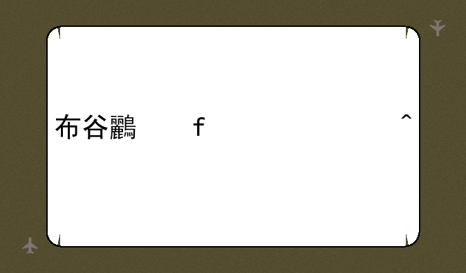 布谷鸟登入就闪退