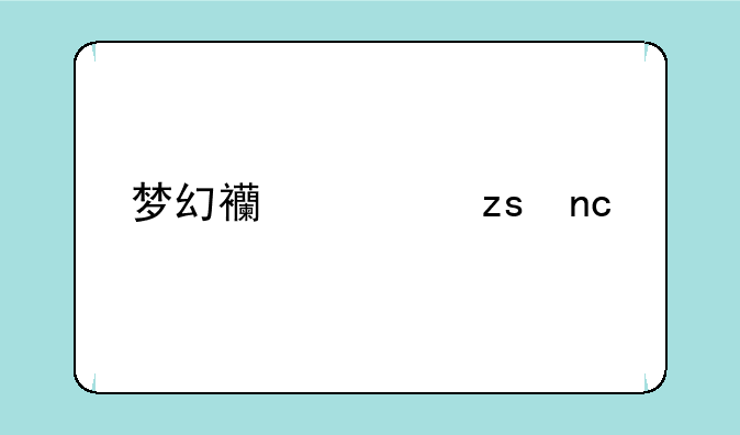 梦幻西游果盘版角色消失问题