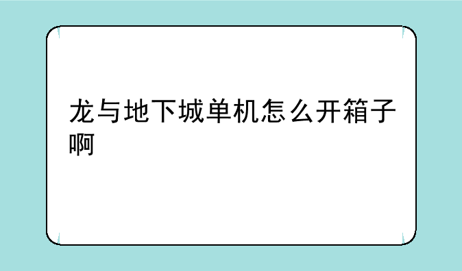 龙与地下城单机怎么开箱子啊
