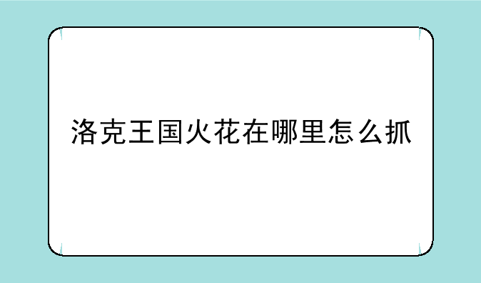 洛克王国火花在哪里怎么抓
